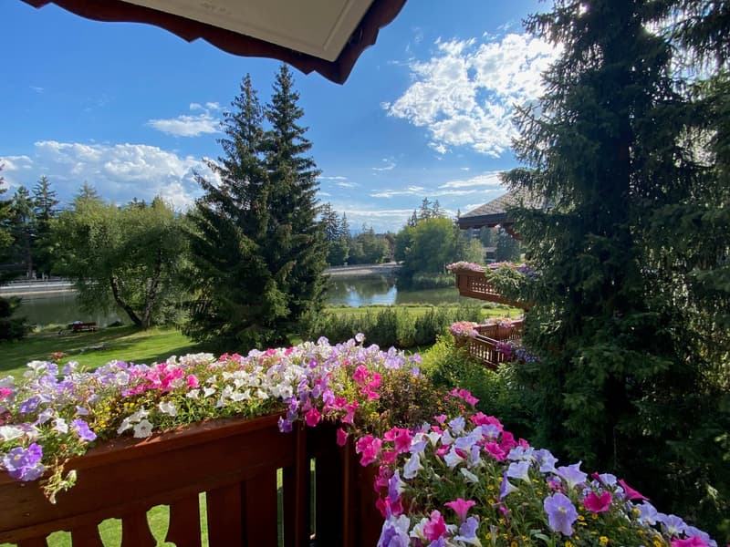 Magnifique appartement de 3,5 pièces avec vue exceptionnelle à Crans-Montana (13)