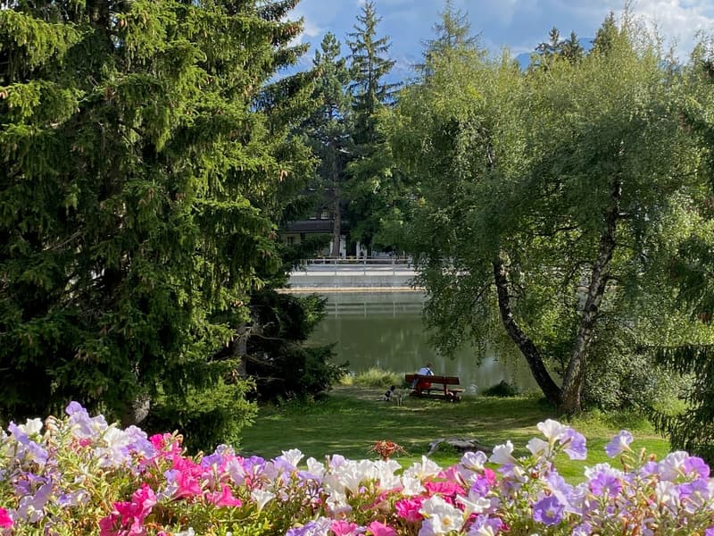 Garden with various flowers, trees, a lake, and a bench with a person sitting