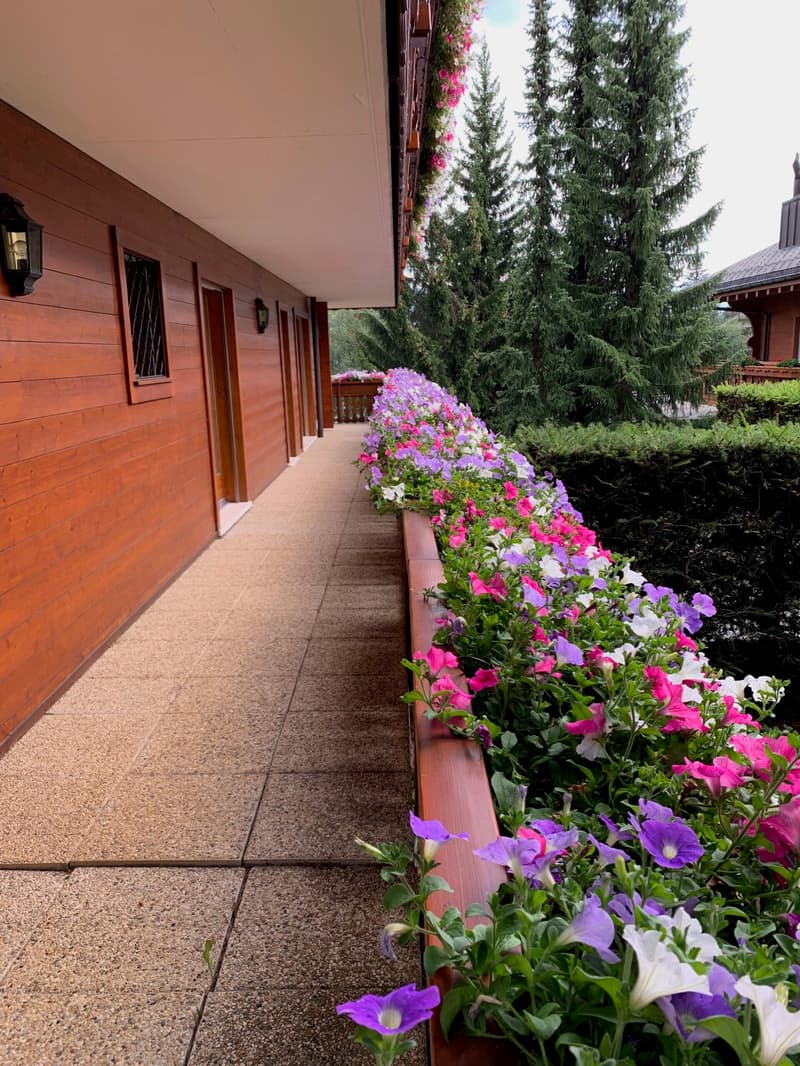 A corridor with wooden walls and floor, lined with multiple flower beds, and doors in between.