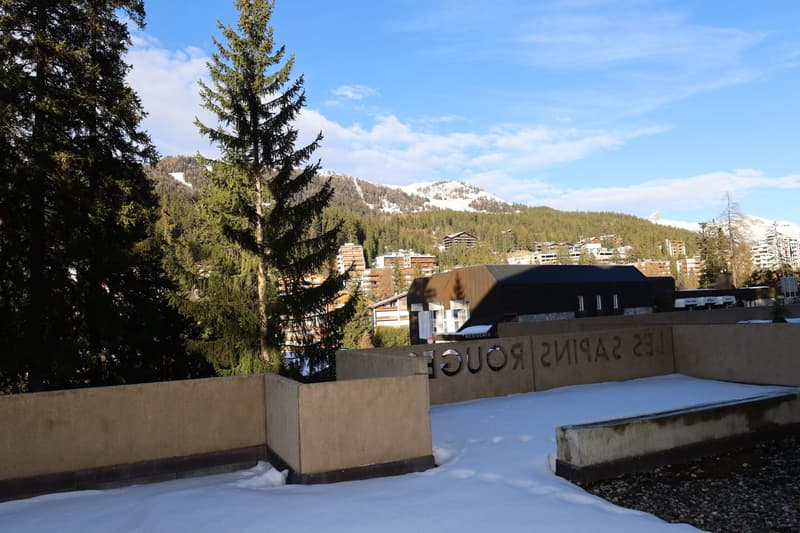 snowy outdoor area with buildings and mountains in the background