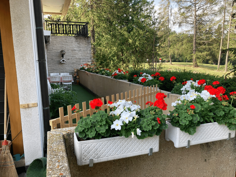 Magnifique appartement de 4,5 pièces avec vue à Crans (17)