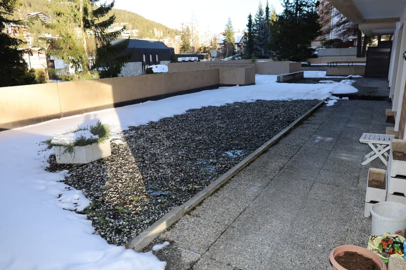 Snowy courtyard, concrete planter with plant, cement floor, several buildings in the background