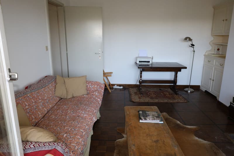Charmant appartement 2,5 pièces avec vue imprenable à Crans (3)