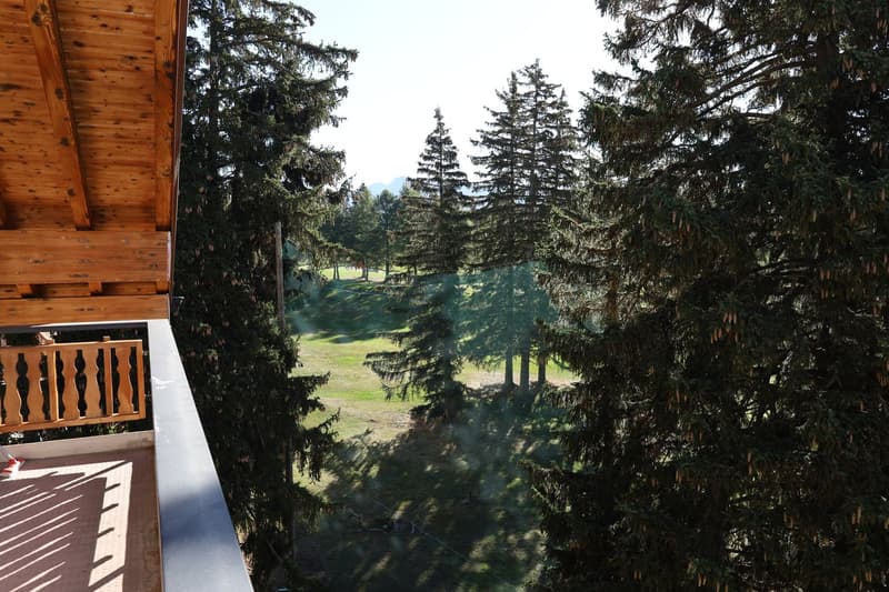 Appartement de 3.5 pièces avec vue et balcon (7)
