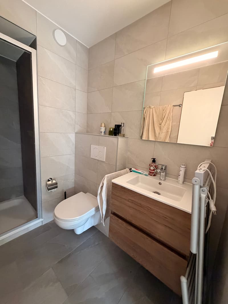 2 studios rénovés à Vercorin | Idéal investissement (10)