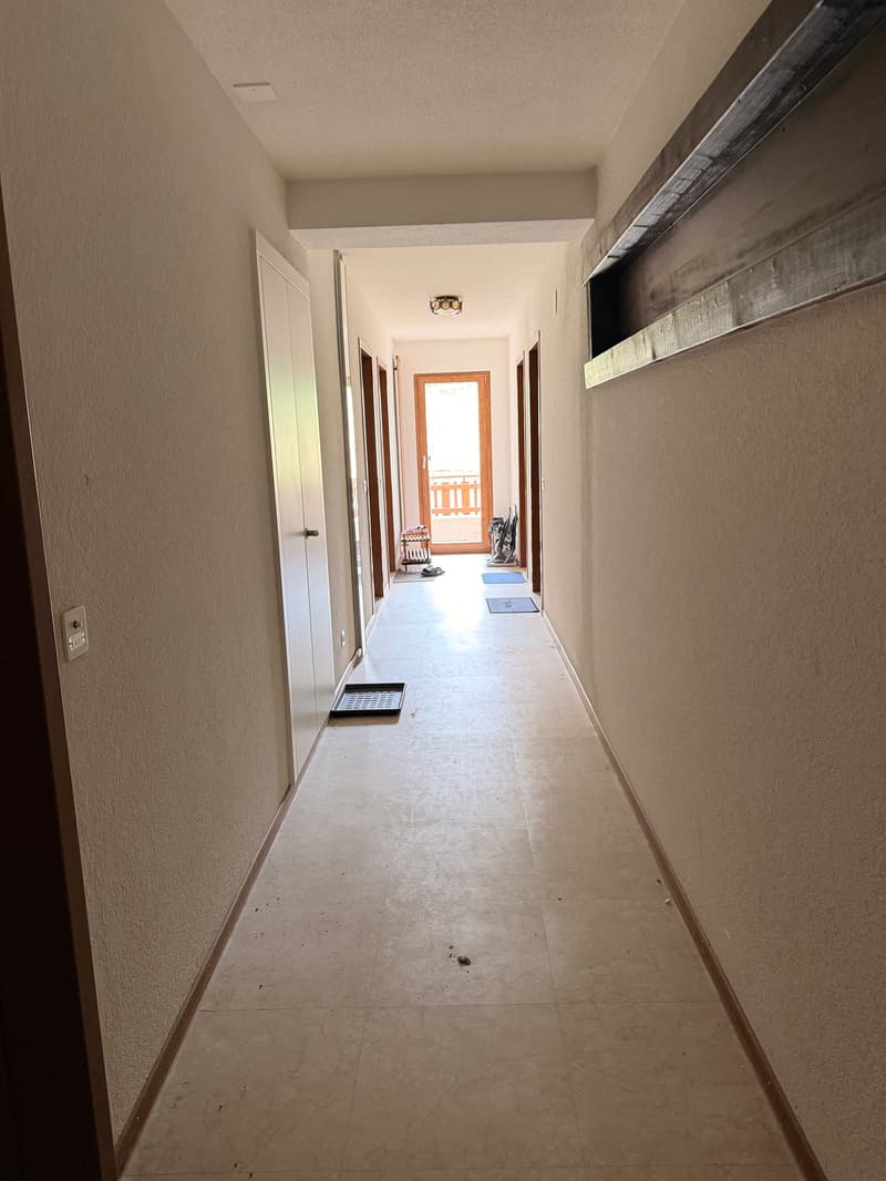 2 studios rénovés à Vercorin | Idéal investissement (9)