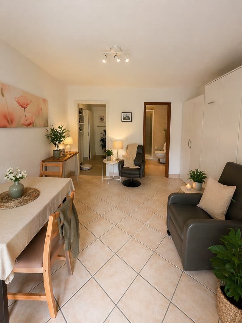 2 studios rénovés à Vercorin | Idéal investissement (5)