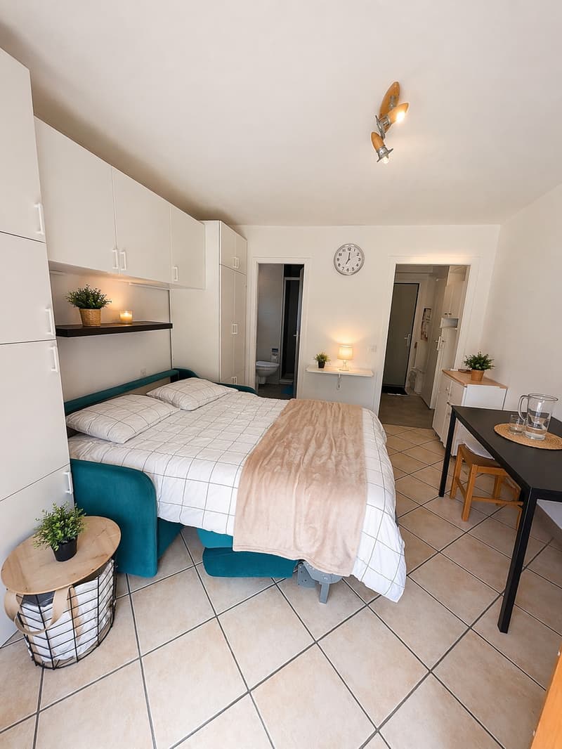 2 studios rénovés à Vercorin | Idéal investissement (6)