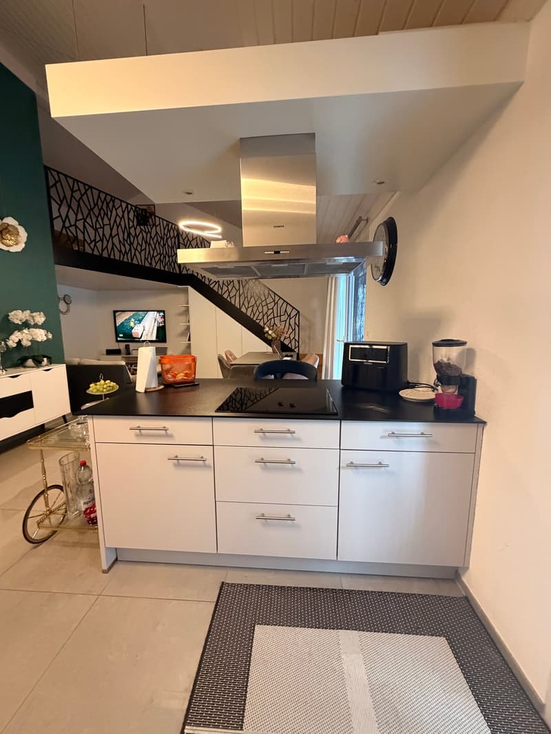 Bel appartement avec mezzanine et grande terrasse exposée plein sud (14)