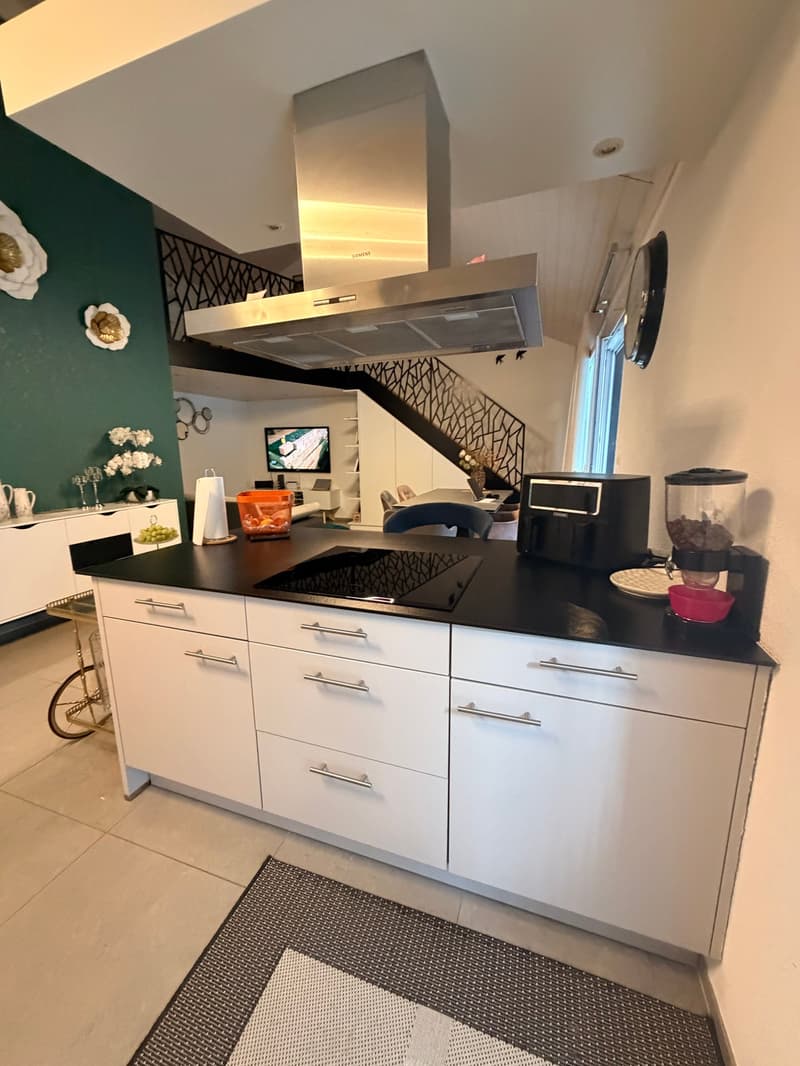 Bel appartement avec mezzanine et grande terrasse exposée plein sud (9)