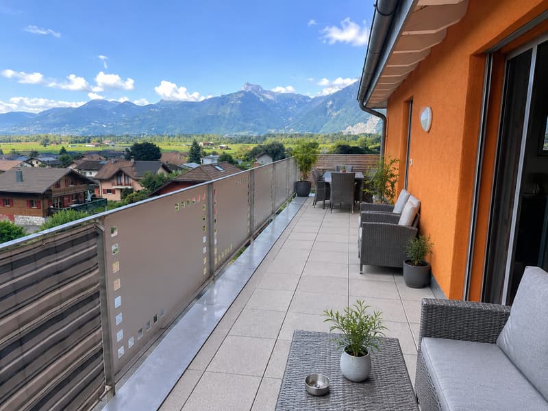 Bel appartement avec mezzanine et grande terrasse exposée plein sud (7)