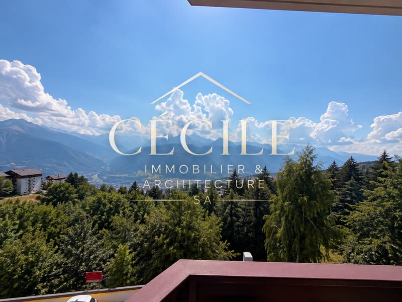 Crans-Montana – Une belle opportunité à saisir au cœur des Alpes (11)