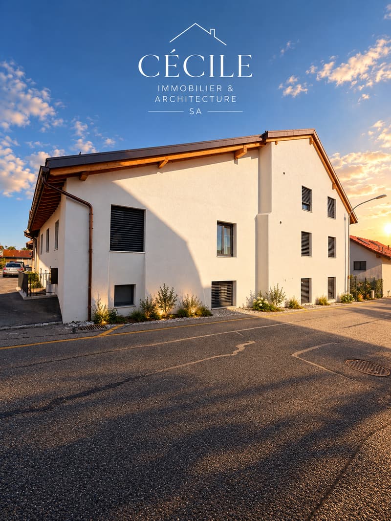 Magnifique appartement en attique de 4.5 pièces (19)