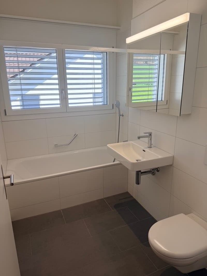 Modern, new 4.5-room apartment in a quiet location (5)