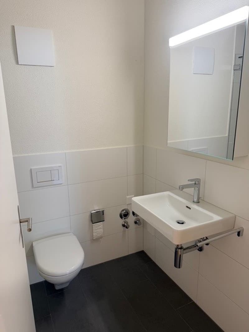 Modern, new 4.5-room apartment in a quiet location (7)