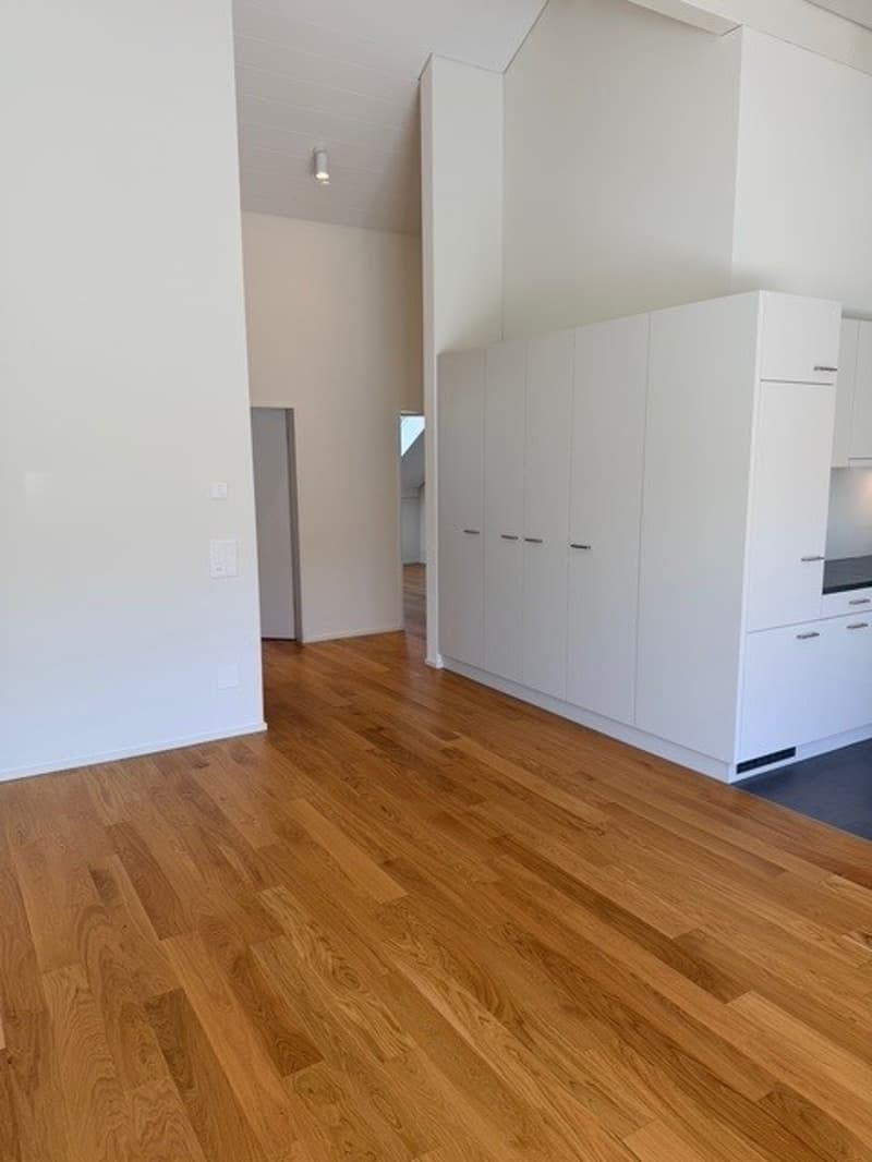 Modern, new 4.5-room apartment in a quiet location (4)