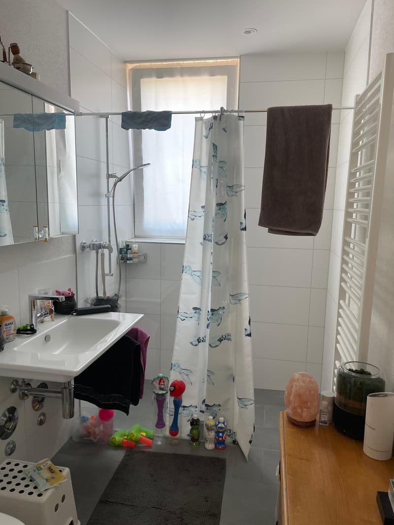 1.5-Zimmer-Wohnung in Schwerzenbach (3)