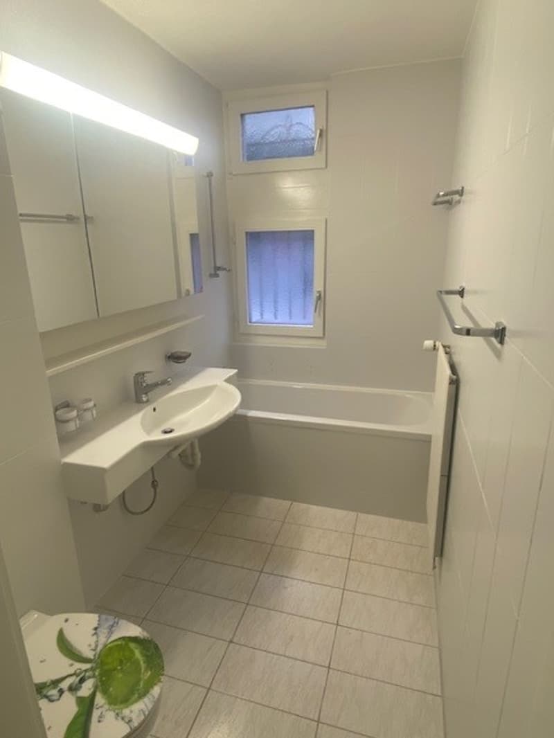 Charmante 2.5-Zimmer-Wohnung mit zusätzlich separaten Büro- Gästezimmer (8)