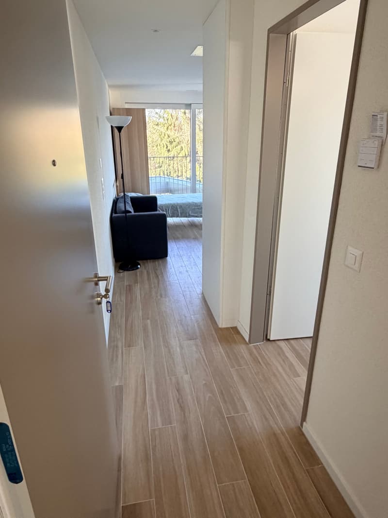 Modernes Studio mit Balkon in Opfikon – Neubau (7)