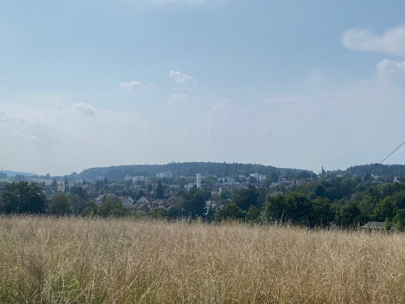 Sonnige Gartenwohnung mit Alpenblick an Toplage (19)