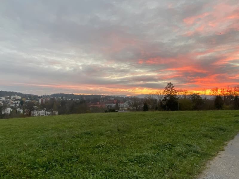 Sonnige Gartenwohnung mit Alpenblick an Toplage (18)