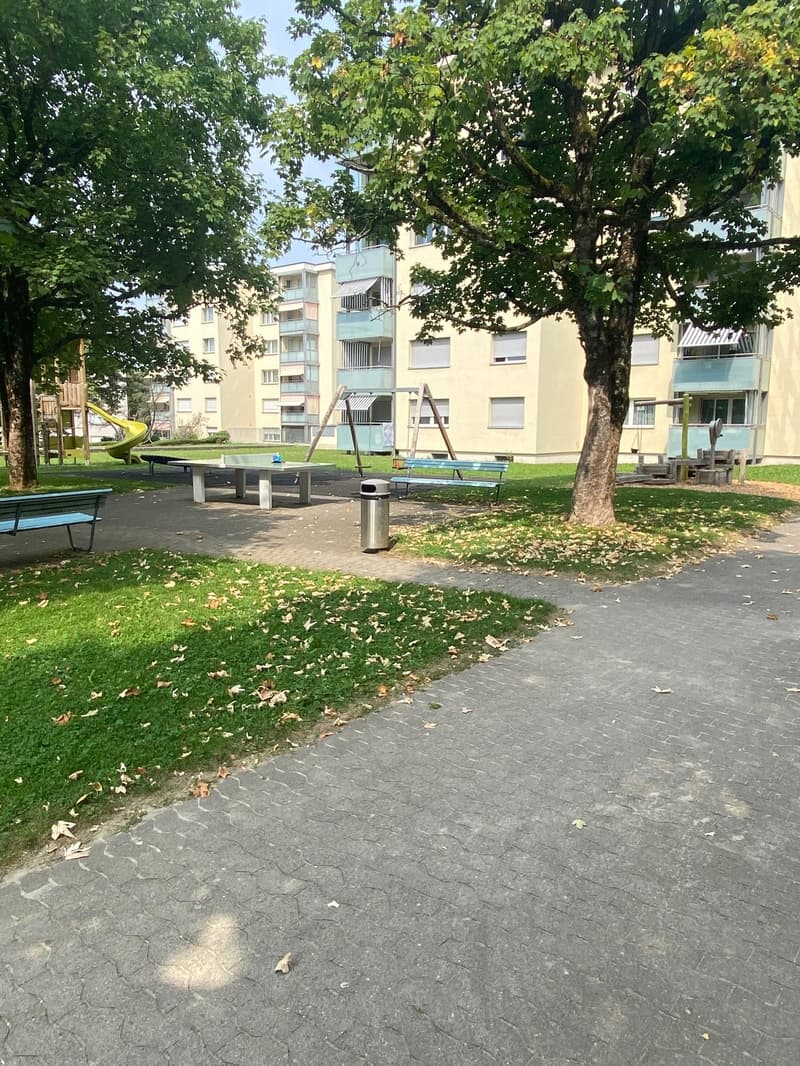 Sonnige Gartenwohnung mit Alpenblick an Toplage (14)