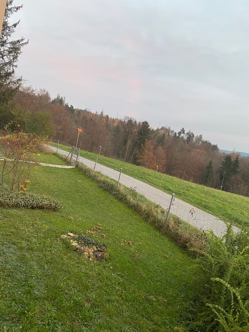 Sonnige Gartenwohnung mit Alpenblick an Toplage (16)