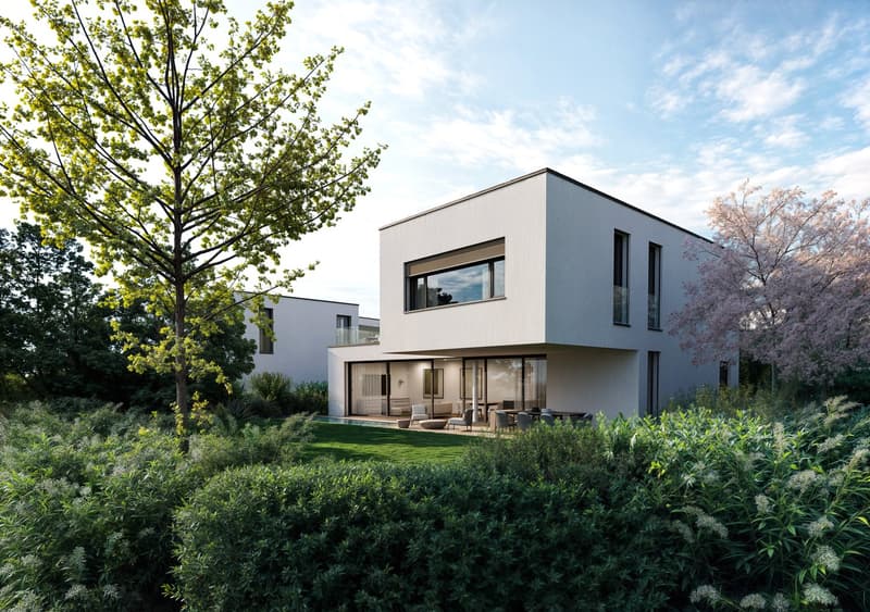 Modern 2 story white house, swimming pool, well maintained garden, trees, patio with seating, large windows, raised ground floor, elevated view