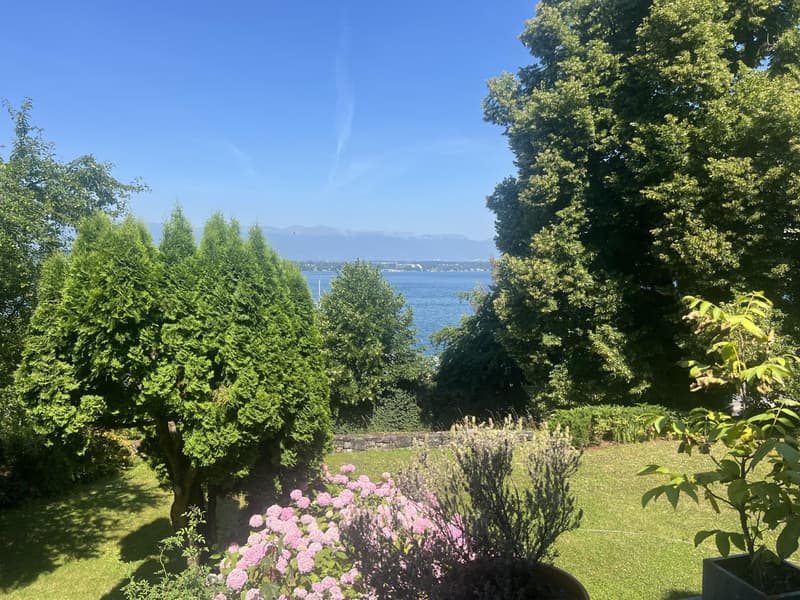 Charmante Villa à Cologny - Prix sur demande (3)