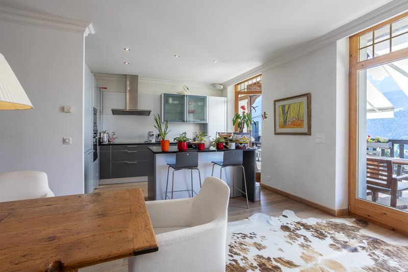 Superbe appartement de standing avec terrasse et vue. (7)