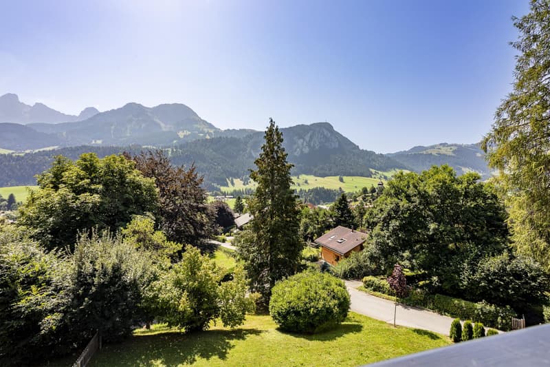 Superbe appartement de standing avec terrasse et vue. (5)