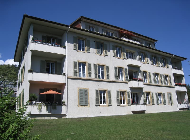 Opportunité d'acquisition à la Neuveville - Canton de Berne (2)