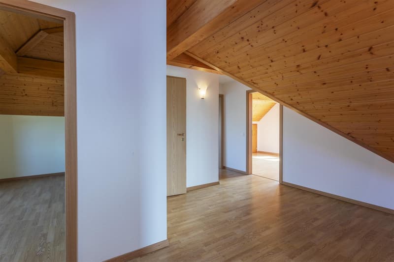 Belle et grande villa familiale (8)