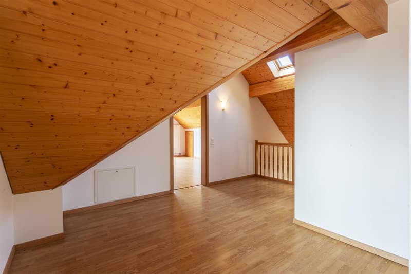 Belle et grande villa familiale (9)