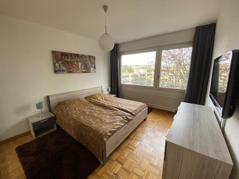 Magnifique appartement à louer (8)