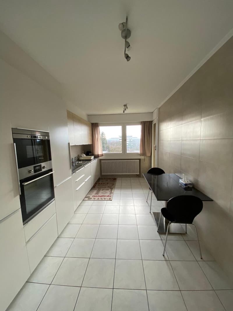 Magnifique appartement à louer (4)