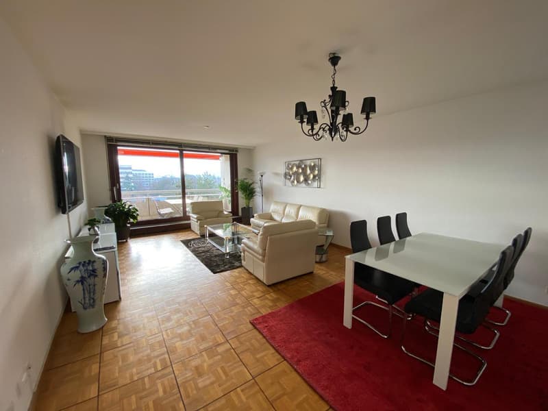 Magnifique appartement à louer (5)