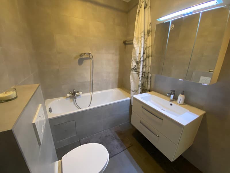 Magnifique appartement à louer (10)