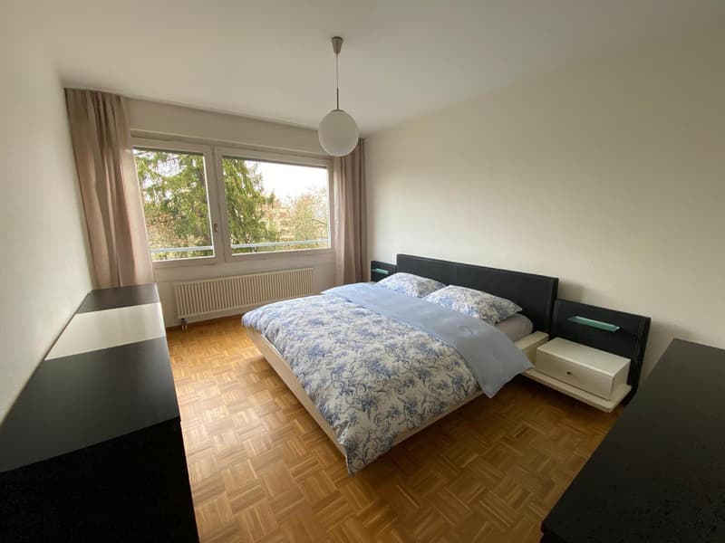 Magnifique appartement à louer (7)