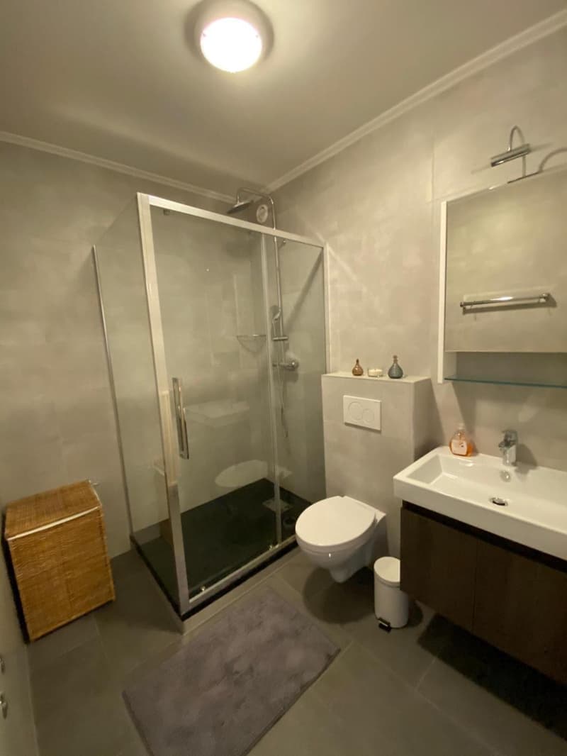 Magnifique appartement à louer (11)