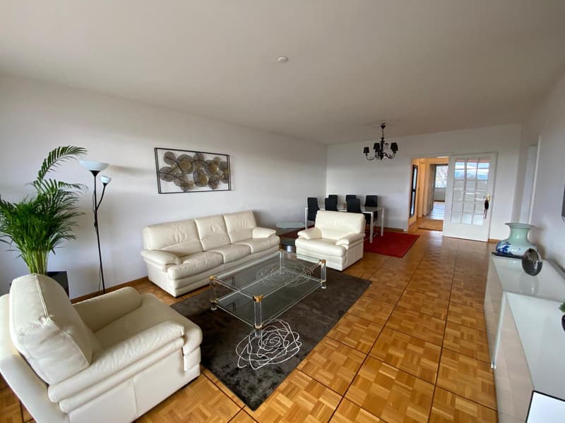 Magnifique appartement à louer (6)