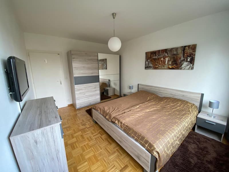 Magnifique appartement à louer (9)