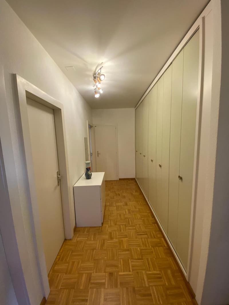 Magnifique appartement à louer (3)