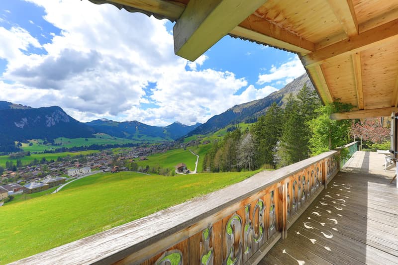 Magnifique chalet avec vue exceptionnelle ! (4)