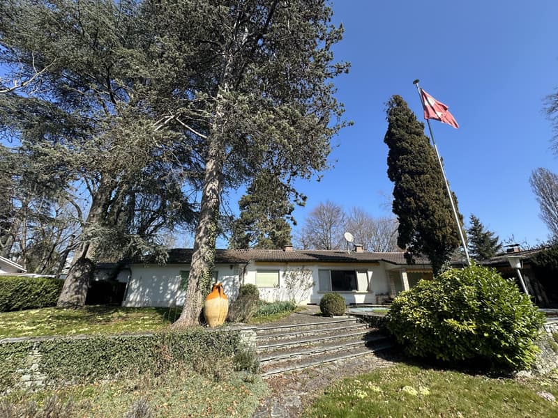 Villa individuelle avec fort potentiel ? Chêne-Bougeries (1)