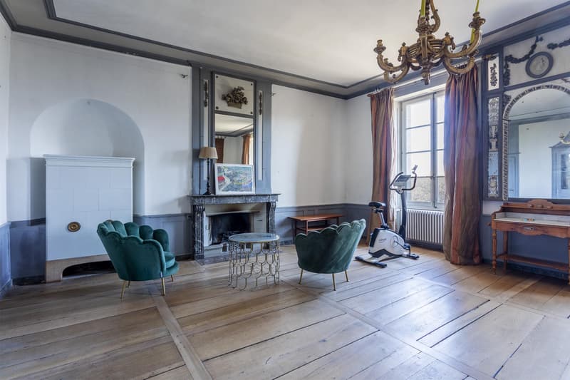 Superbe domaine avec grand potentiel! (4)