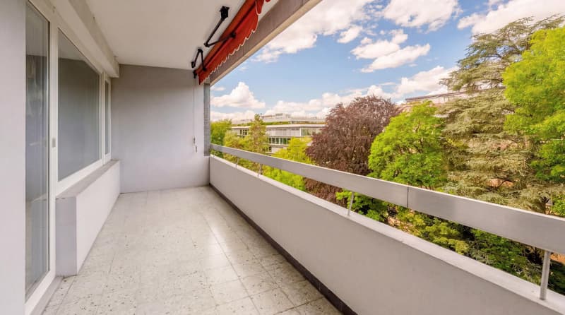 Co-exclusivité à Florissant - appartement traversant (9)