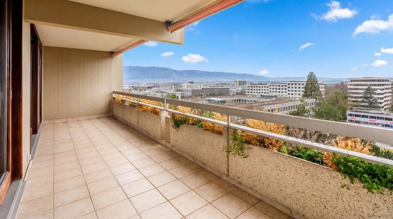 Co-exclusivité - Matutina Parc - Appartement de 5 pièces traversant au Petit-Saconnex (8)