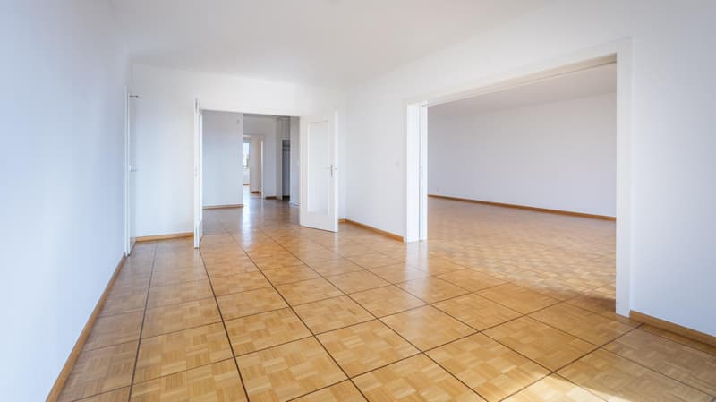 Co-exclusivité - Matutina Parc - Appartement de 5 pièces traversant au Petit-Saconnex (4)