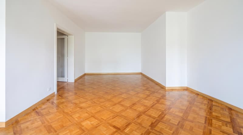 Florissant - appartement traversant (5)